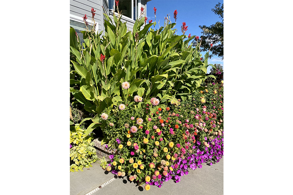 garden flower wedding