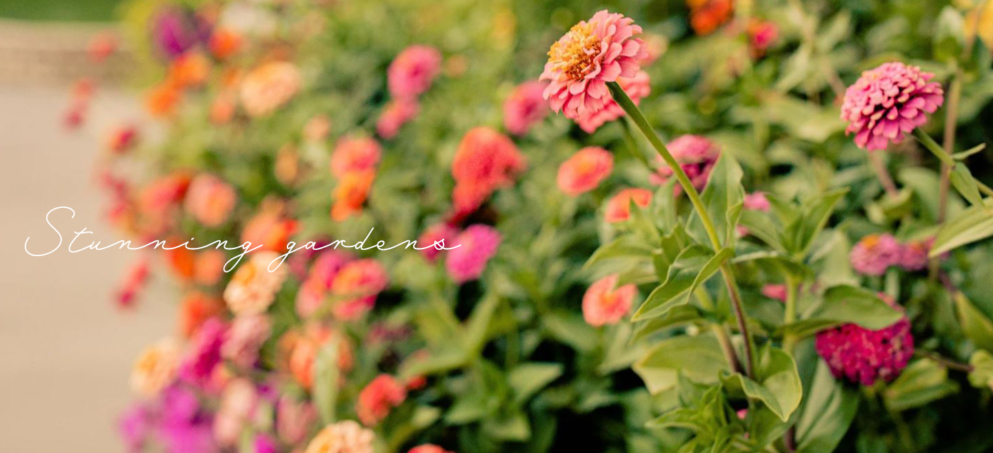 oregon wedding location